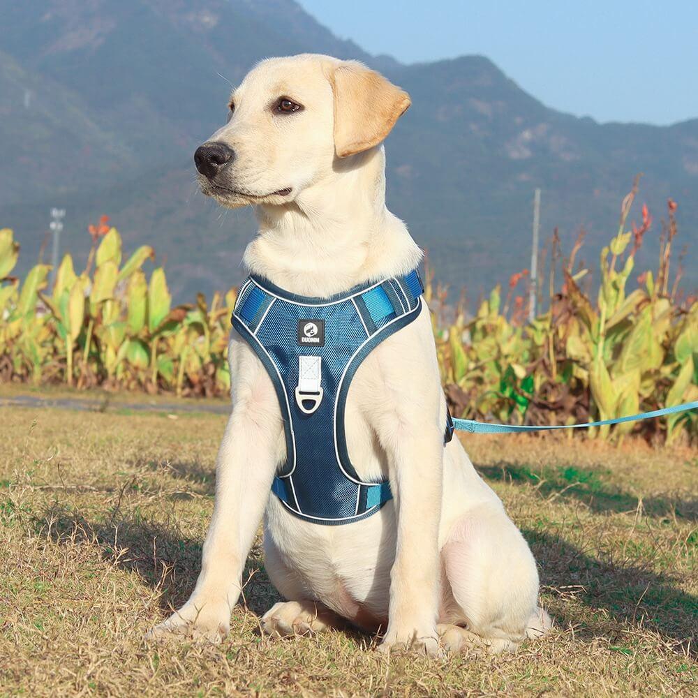 Pettorina anti-tiro per cani di alta qualità