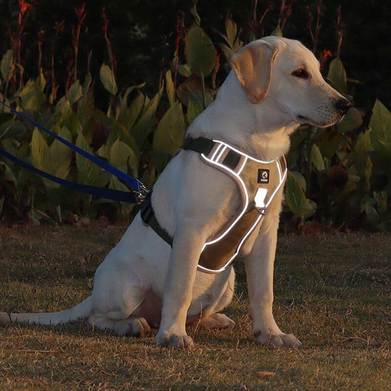 Pettorina anti-tiro per cani di alta qualità