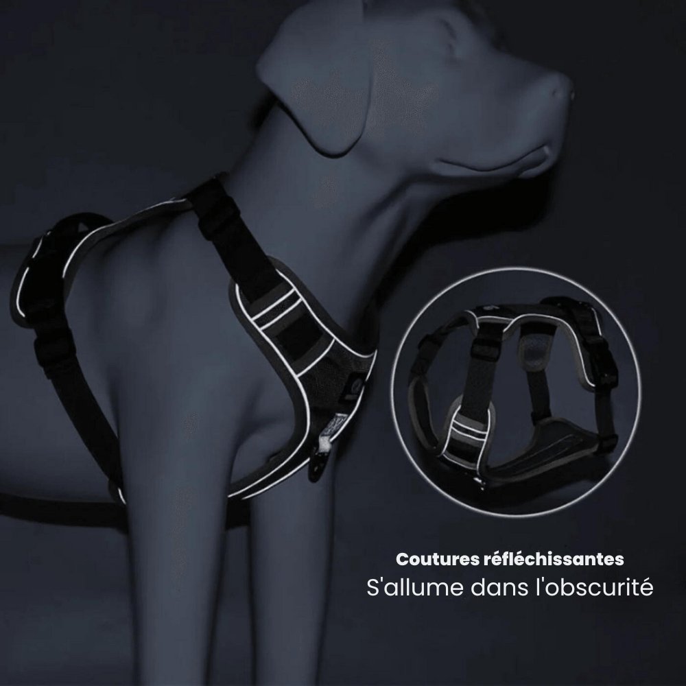 Pettorina anti-tiro per cani di alta qualità