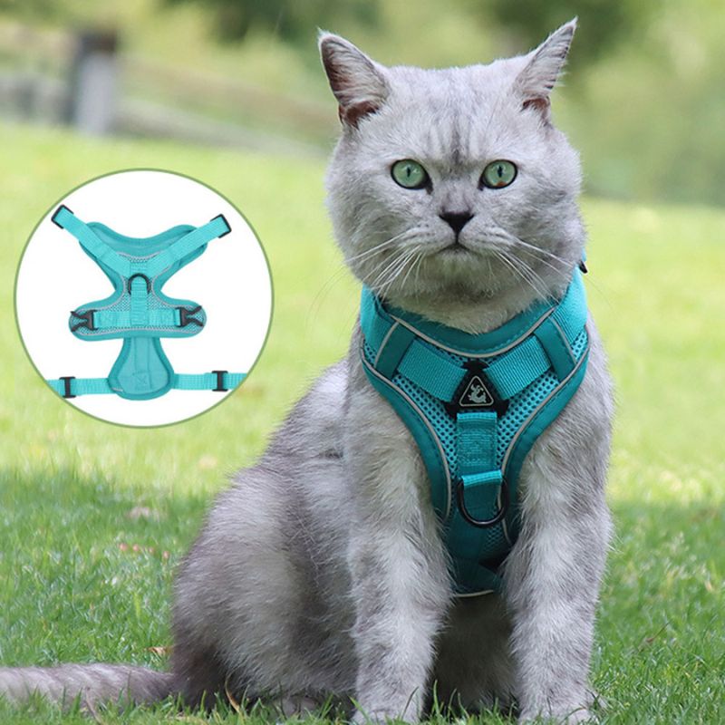 Pettorina antifuga per gatti - Sicurezza e libertà per il tuo gatto