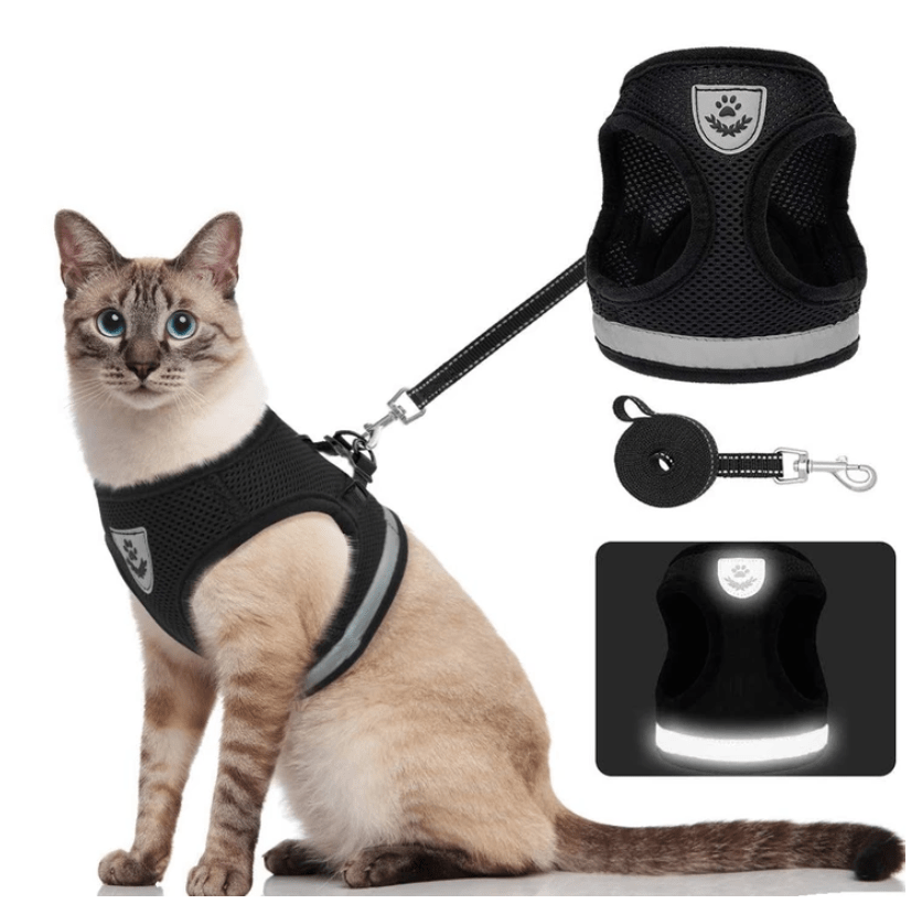 Pettorina per Gatti Adventure – Pettorina di Sicurezza per Gatti con Guinzaglio ed Elementi Riflettenti
