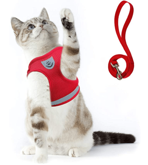Pettorina per Gatti Adventure – Pettorina di Sicurezza per Gatti con Guinzaglio ed Elementi Riflettenti
