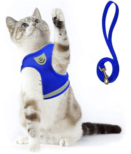 Pettorina per Gatti Adventure – Pettorina di Sicurezza per Gatti con Guinzaglio ed Elementi Riflettenti
