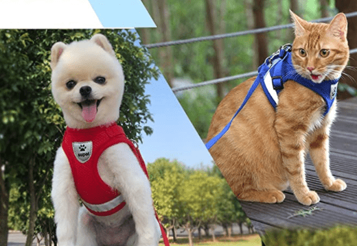 Pettorina per Gatti Adventure – Pettorina di Sicurezza per Gatti con Guinzaglio ed Elementi Riflettenti
