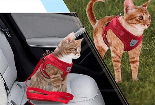 Pettorina per Gatti Adventure – Pettorina di Sicurezza per Gatti con Guinzaglio ed Elementi Riflettenti