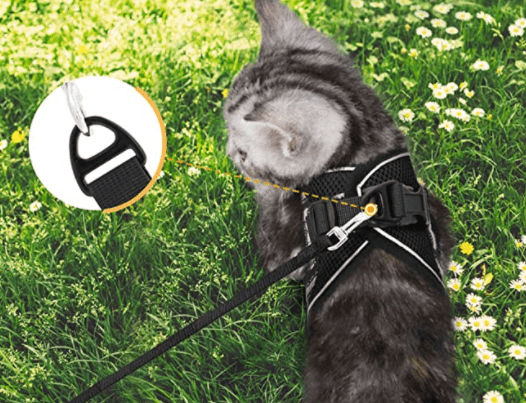 Pettorina per Gatti Adventure – Pettorina di Sicurezza per Gatti con Guinzaglio ed Elementi Riflettenti