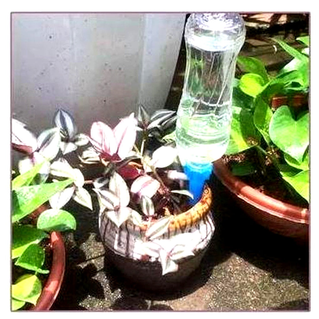 Picchetti di Irrigazione Automatica per Piante (Confezione da 12) – Supporto da Giardinaggio a Flusso Regolabile