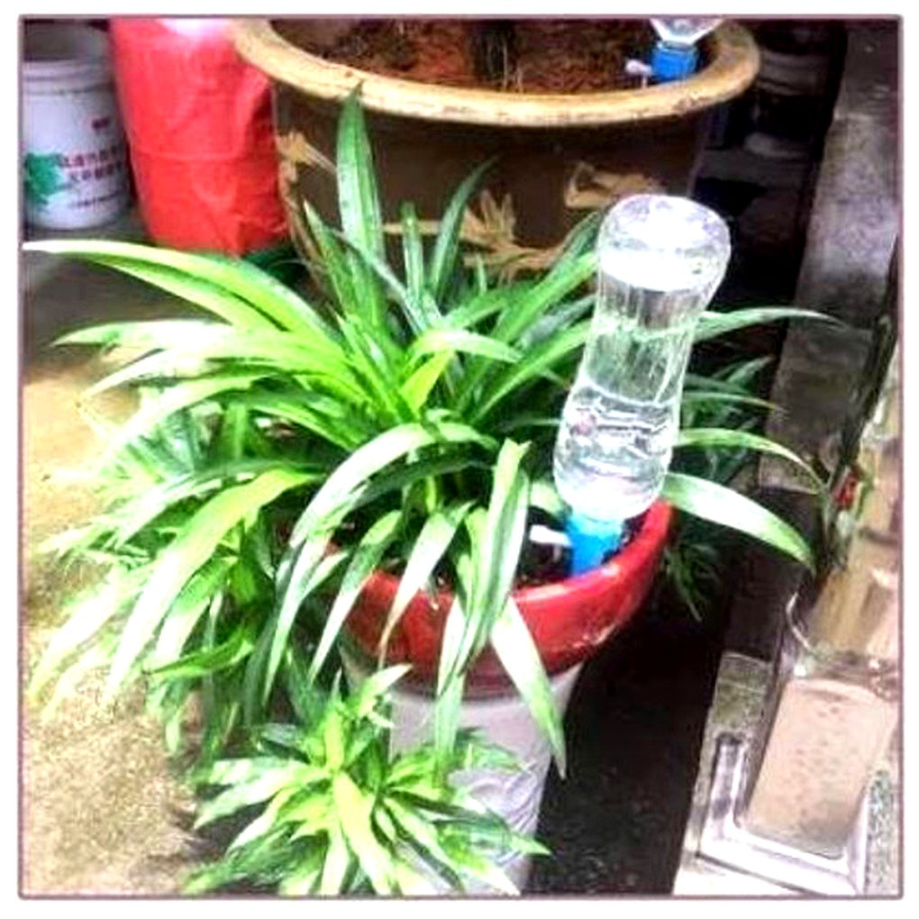 Picchetti di Irrigazione Automatica per Piante (Confezione da 12) – Supporto da Giardinaggio a Flusso Regolabile