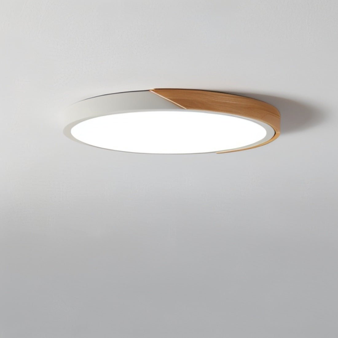 Plafoniera LED Moderna - Illuminazione Minimalista per Interni
