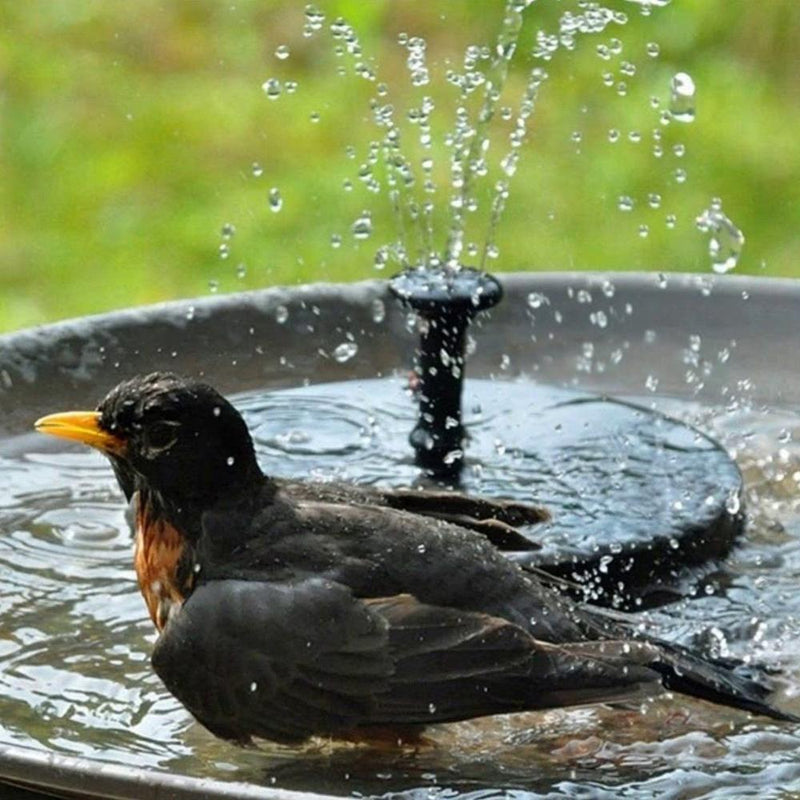 Pompa Solare per Fontana – Per Laghetto, Bagno per Uccelli o Decorazione da Giardino