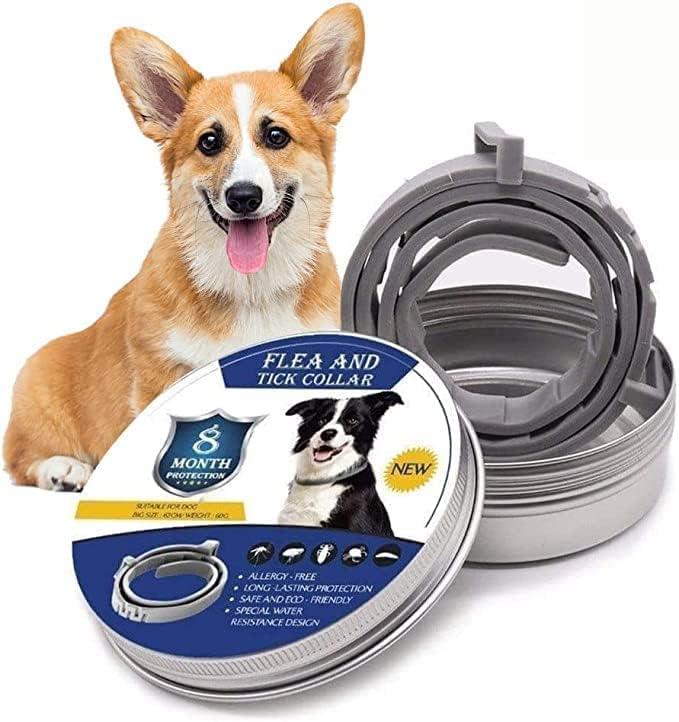 Protezione naturale antipulci e antizecche per cani