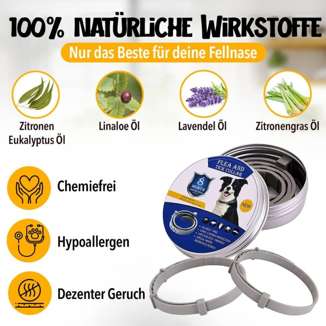 Protezione naturale antipulci e antizecche per cani