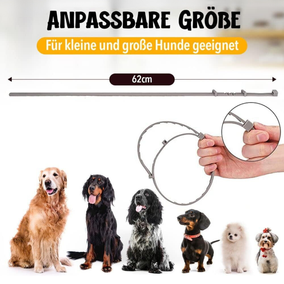 Protezione naturale antipulci e antizecche per cani