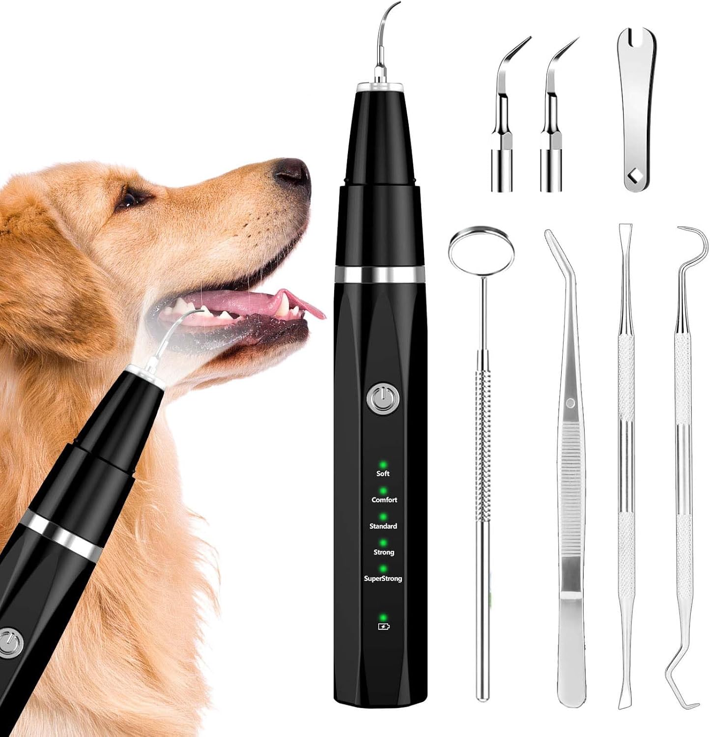 Pulitore per denti ad ultrasuoni per cani e gatti per l'igiene dentale professionale