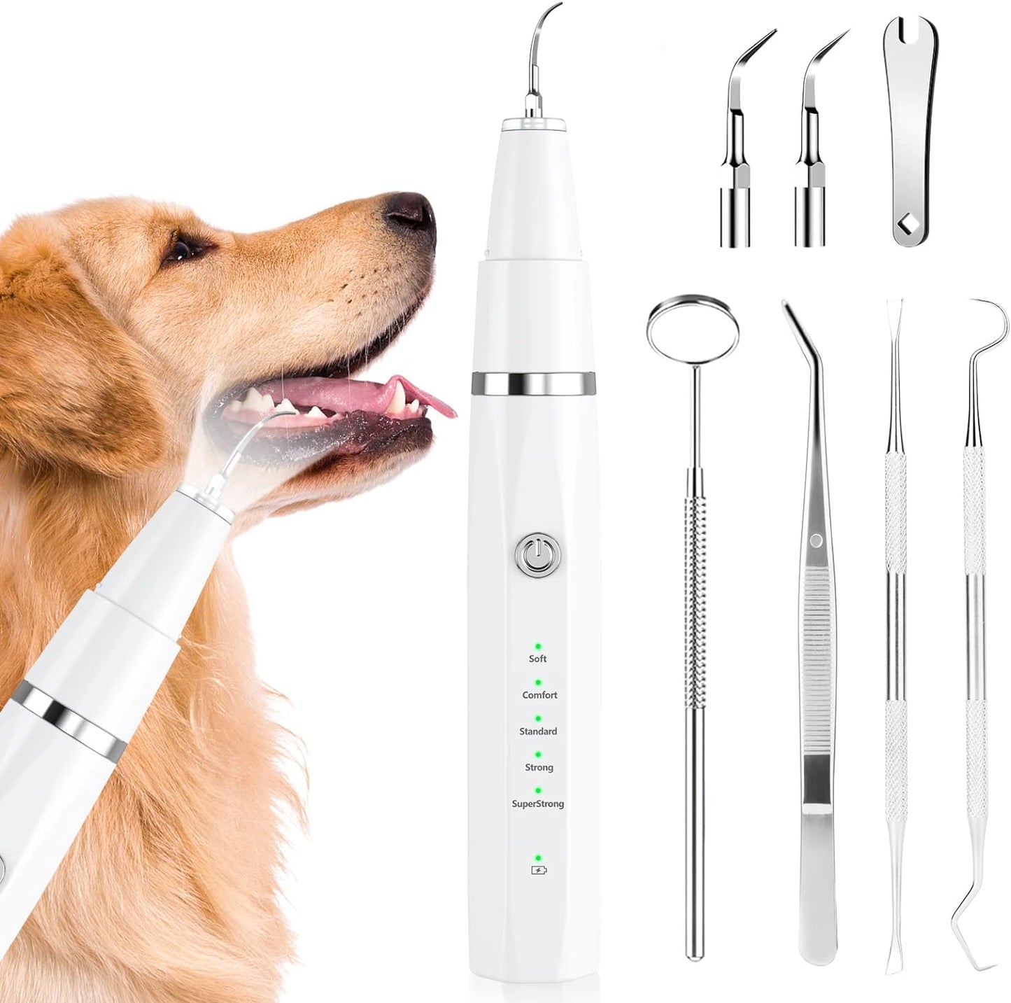 Pulitore per denti ad ultrasuoni per cani e gatti per l'igiene dentale professionale