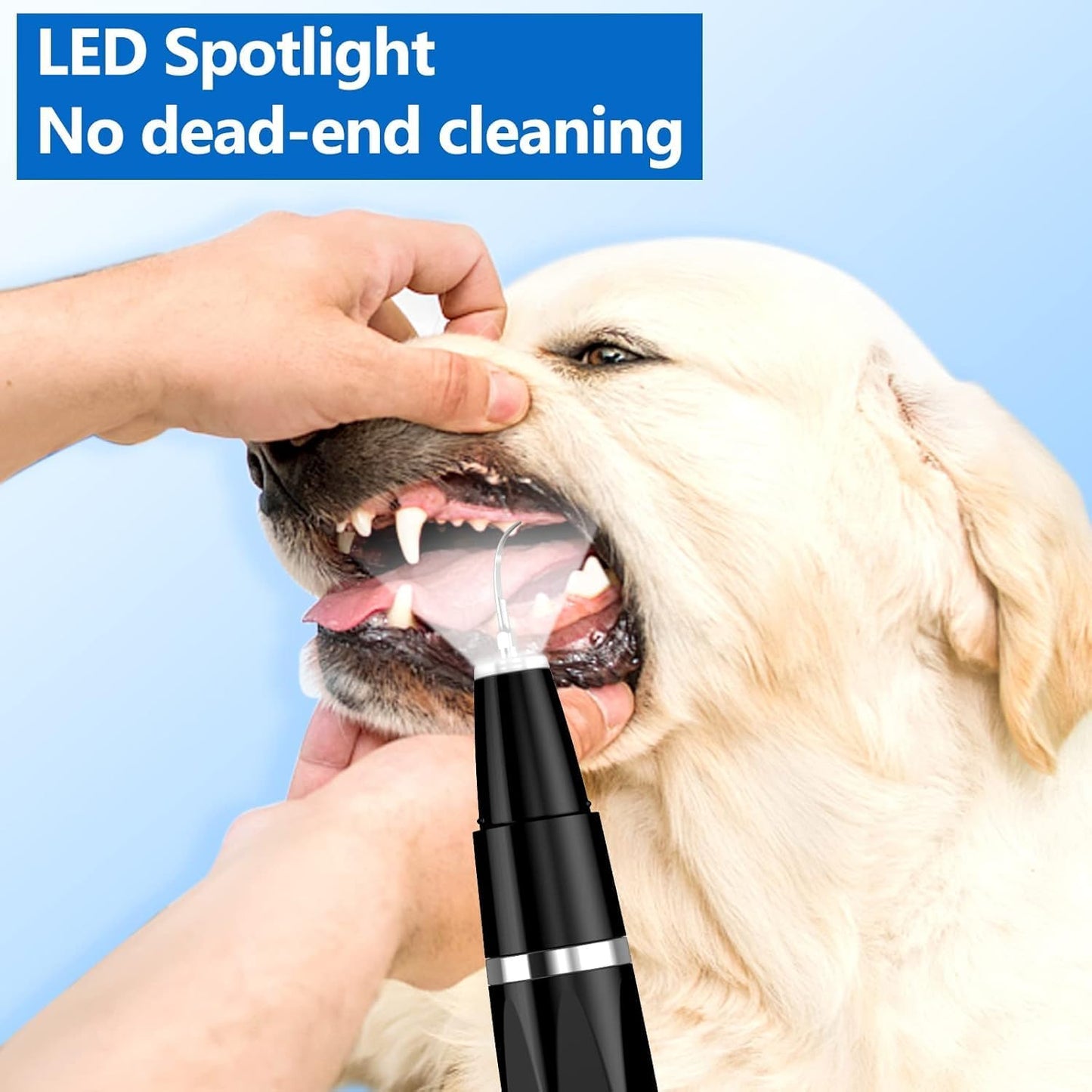 Pulitore per denti ad ultrasuoni per cani e gatti per l'igiene dentale professionale