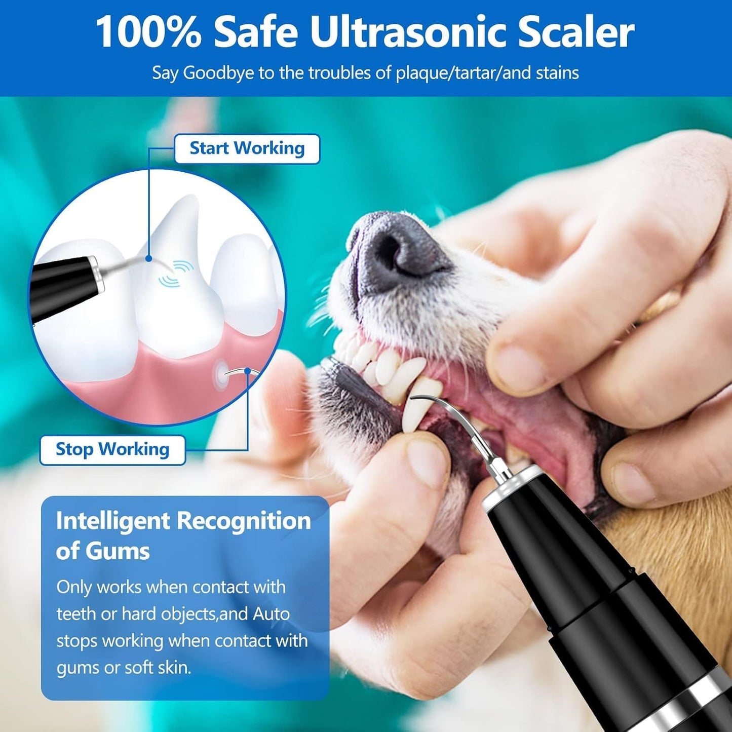 Pulitore per denti ad ultrasuoni per cani e gatti per l'igiene dentale professionale
