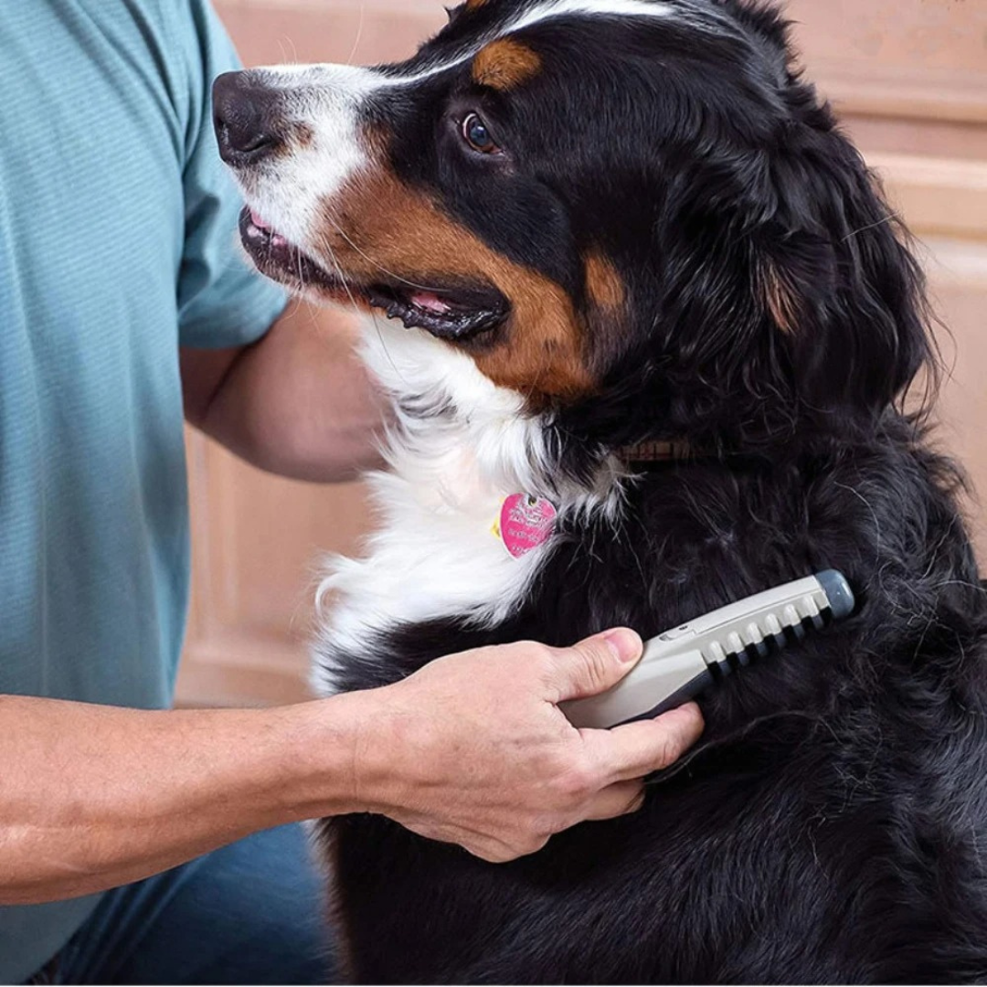 Rifinitore Scioglinodi per Animali Domestici | Cura del Pelo Indolore per Cani e Gatti | Adatto a Tutti i Tipi di Pelo