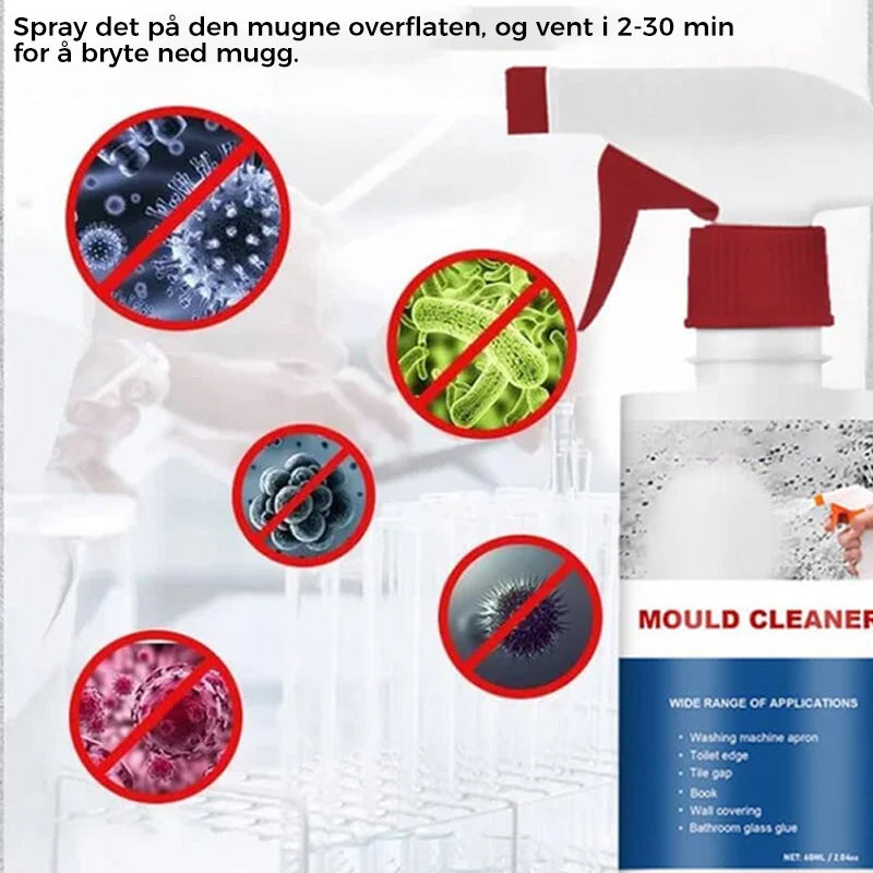 Schiuma Antimuffa Efficace - Rimuove le Macchie di Muffa | Azione Rapida