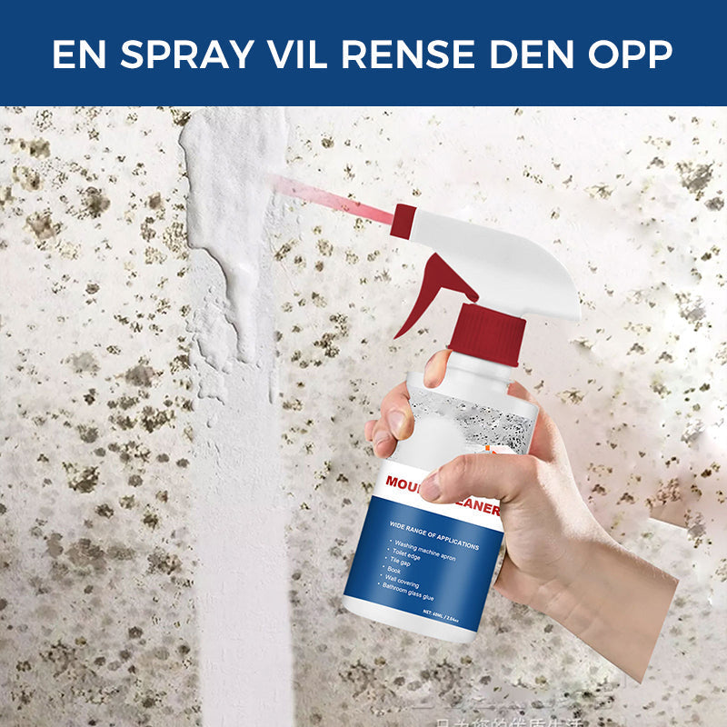 Schiuma Antimuffa Efficace - Rimuove le Macchie di Muffa | Azione Rapida