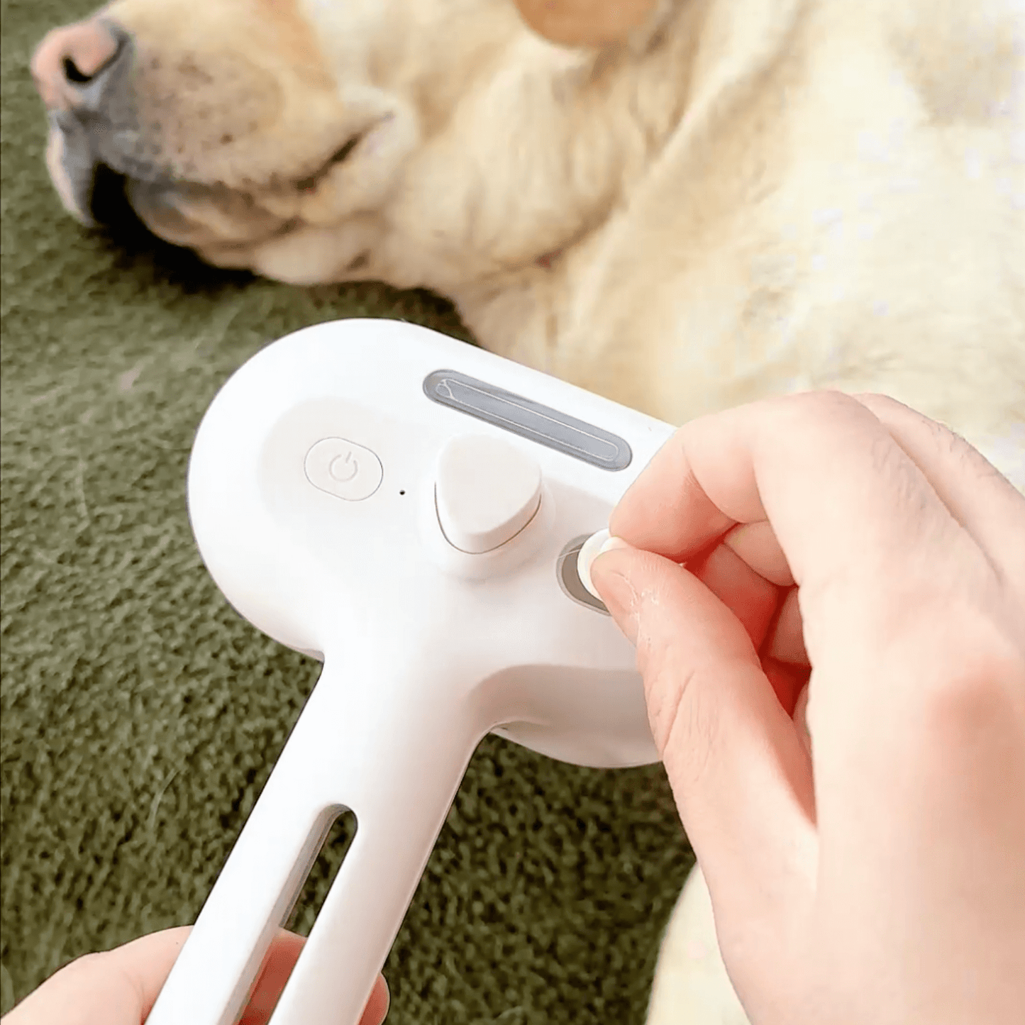 Spazzola a vapore per cani
