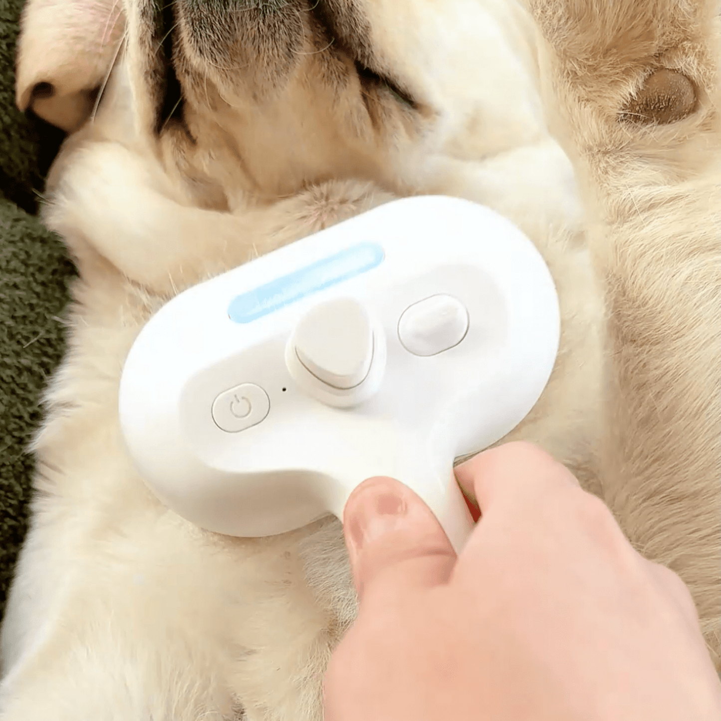 Spazzola a vapore per cani
