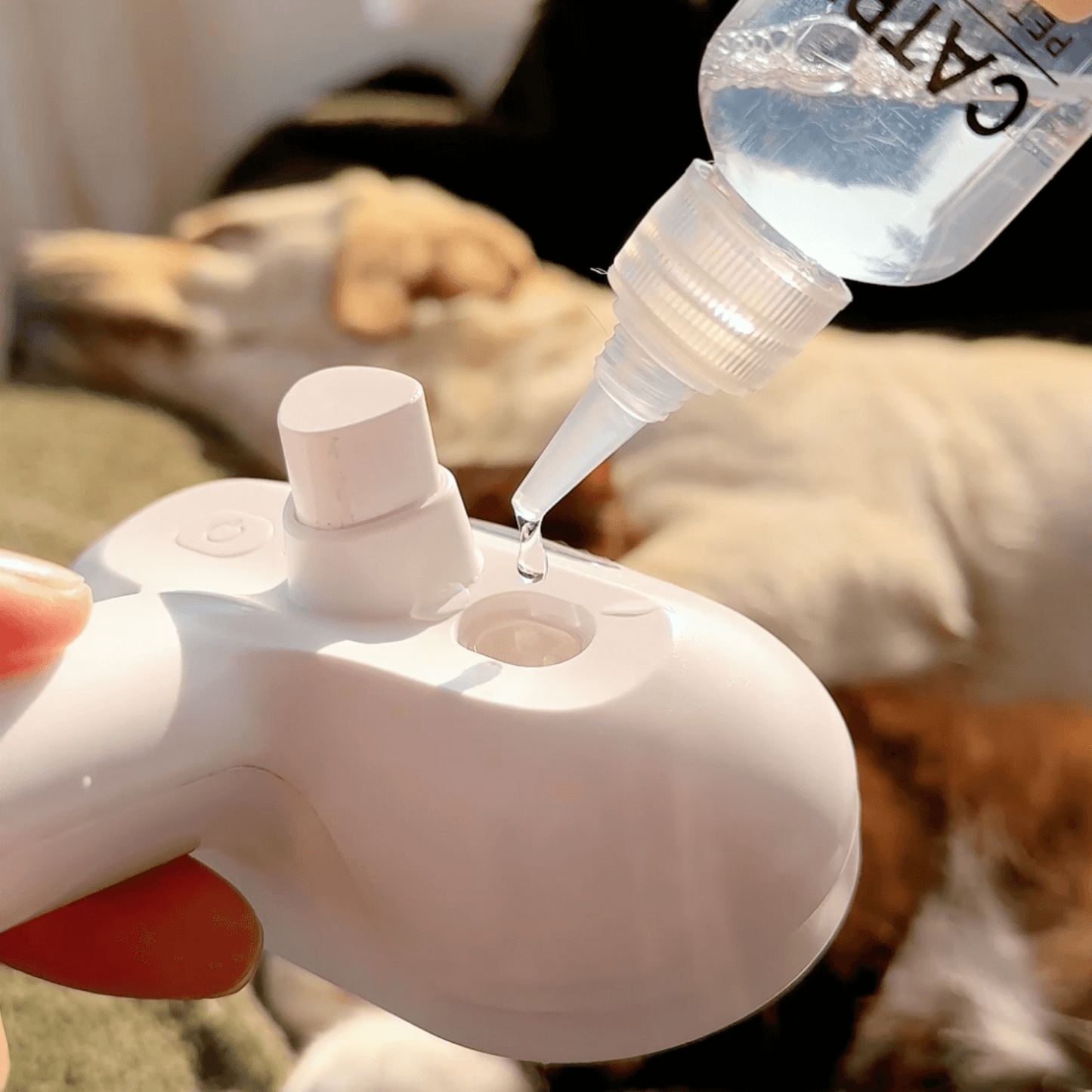 Spazzola a vapore per cani