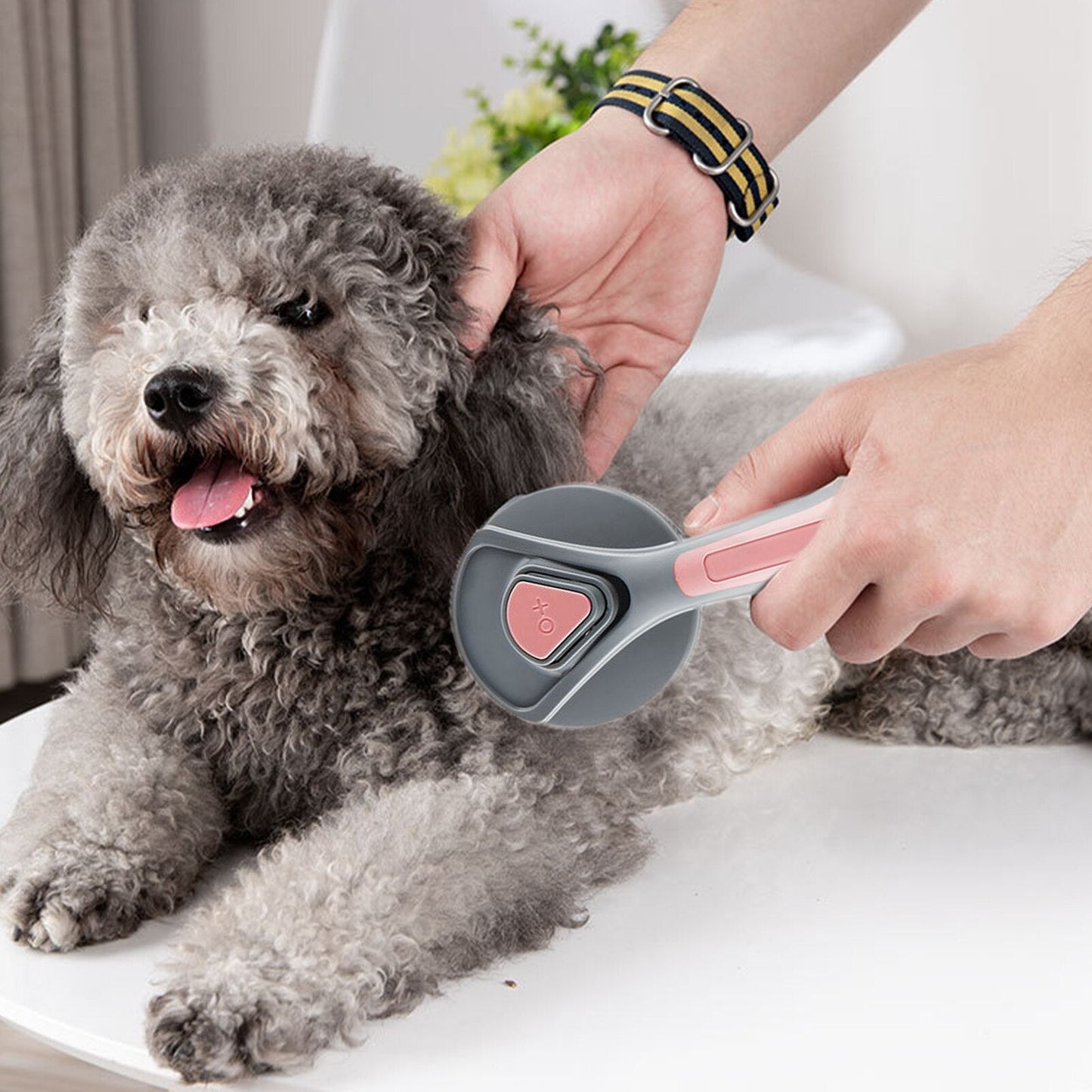 Spazzola autopulente per la toelettatura degli animali domestici