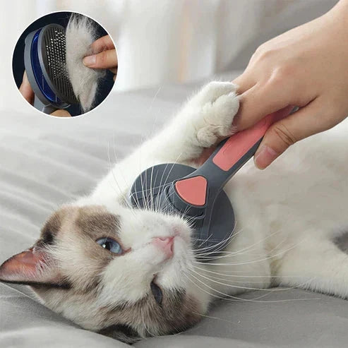 Spazzola autopulente per la toelettatura degli animali domestici