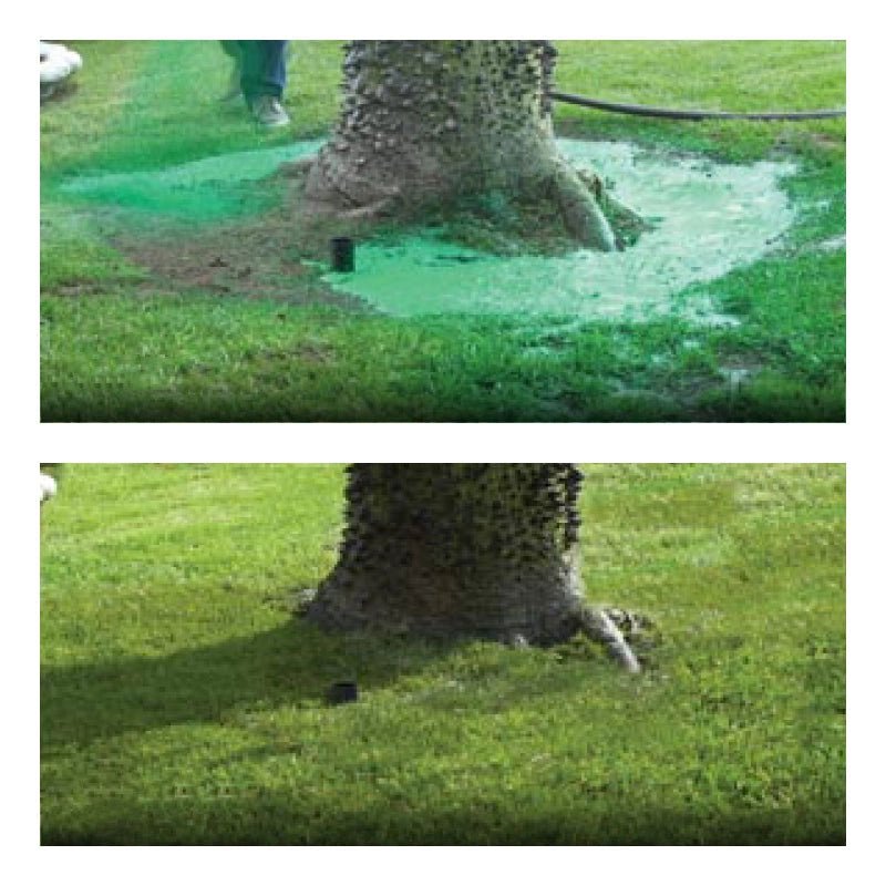 Spray Ecologico di Semi per Prato per una Crescita Perfetta dell'Erba