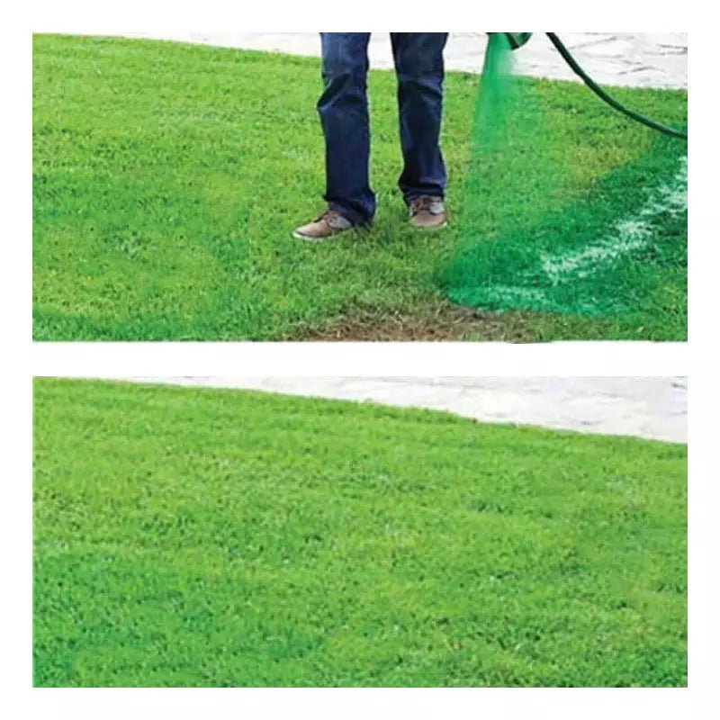 Spray Ecologico di Semi per Prato per una Crescita Perfetta dell'Erba
