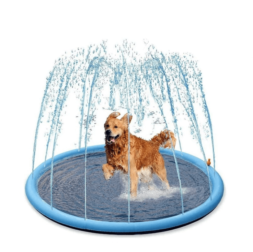 Tappetino Rinfrescante con Gioco d'Acqua per Cani – Per Rinfrescarsi e Giocare nel Calore Estivo!