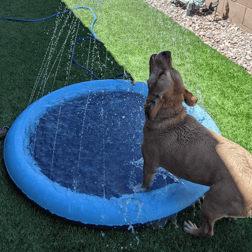 Tappetino Rinfrescante con Gioco d'Acqua per Cani – Per Rinfrescarsi e Giocare nel Calore Estivo!