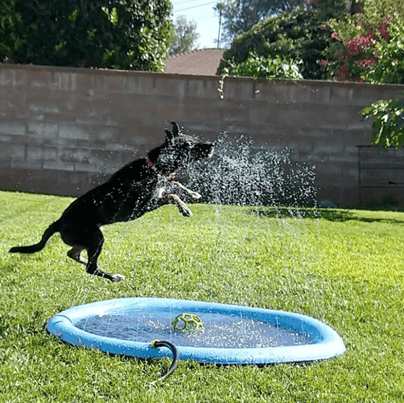 Tappetino Rinfrescante con Gioco d'Acqua per Cani – Per Rinfrescarsi e Giocare nel Calore Estivo!