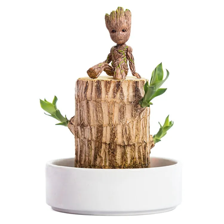 Terrario Lucky Wood