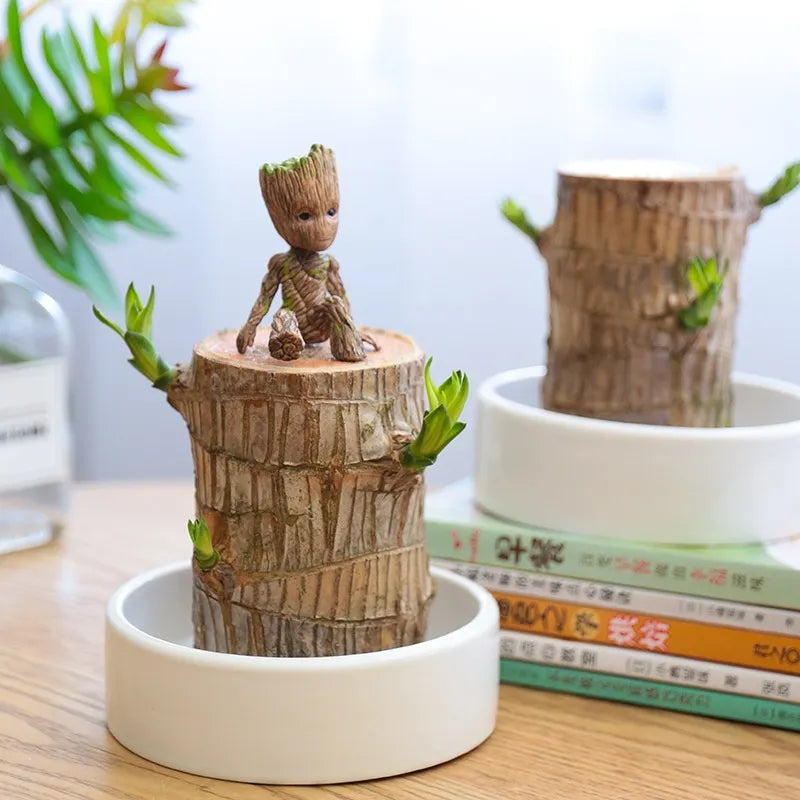 Terrario Lucky Wood