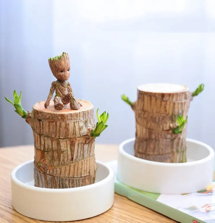 Terrario Lucky Wood