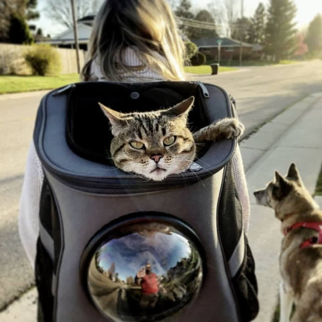 Zaino da viaggio grande per gatti con oblò