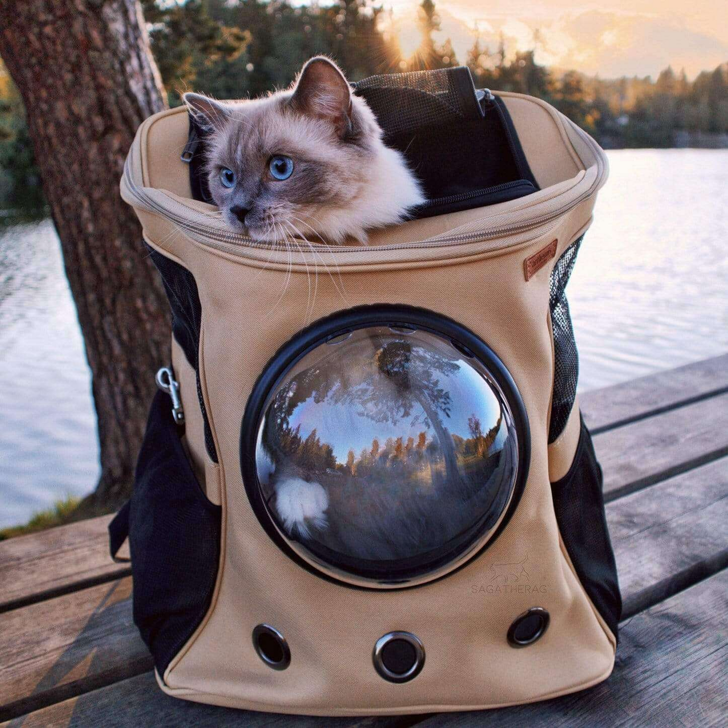 Zaino da viaggio grande per gatti con oblò